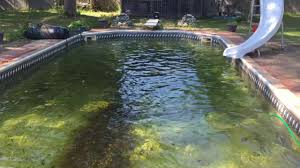 alge pool - Copy